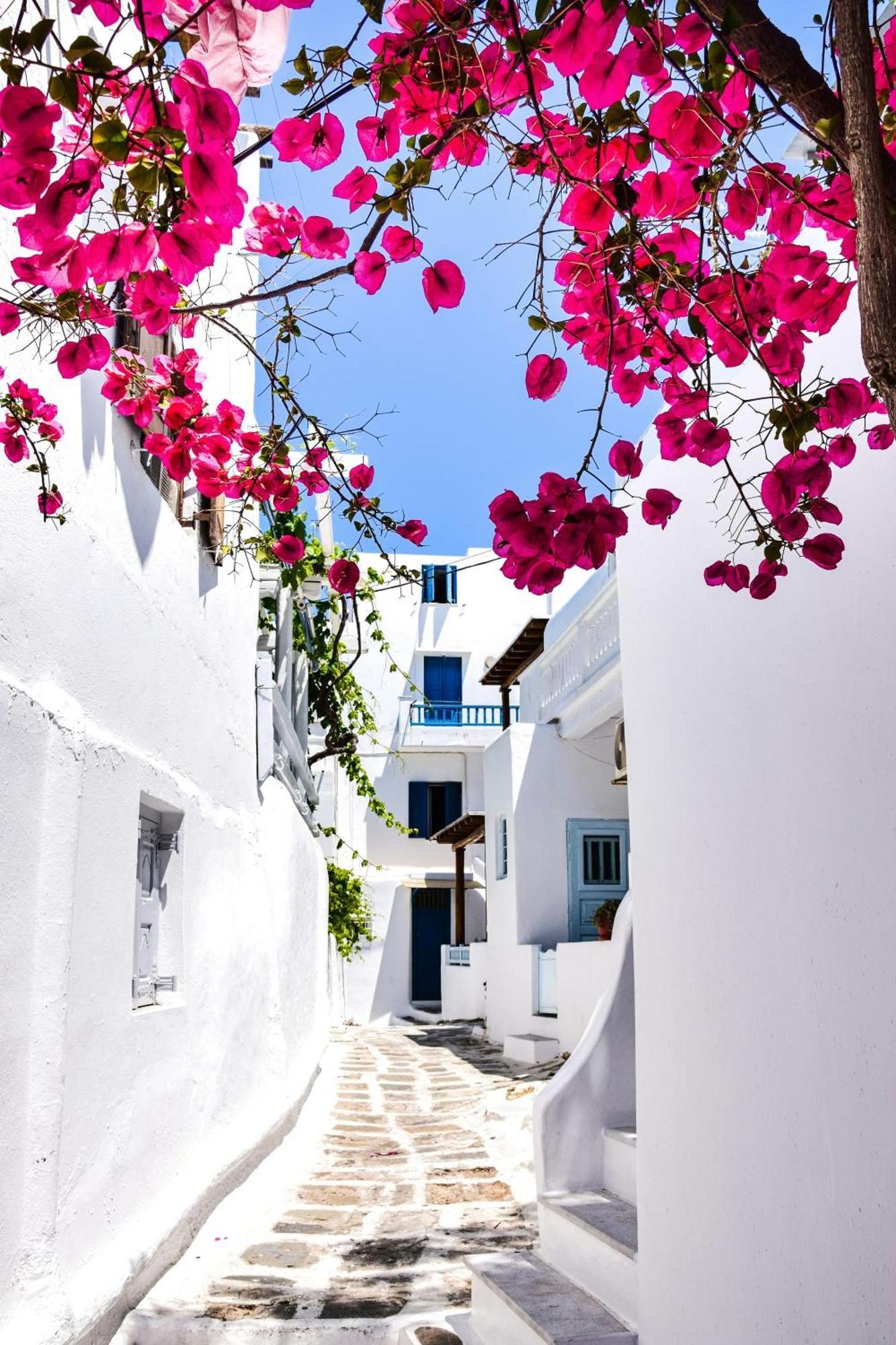 Aniko Suites White Alley Mykonos Town Exterior photo